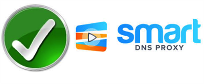 Smart DNS Proxy Logo