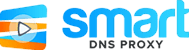 Smart DNS Proxy Logo